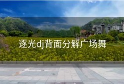 逐光dj背面分解广场舞
