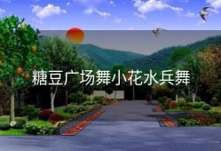 糖豆广场舞小花水兵舞