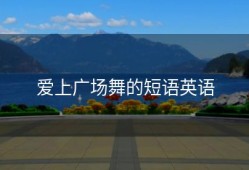 爱上广场舞的短语英语