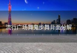 流行广场舞鬼步舞背面分解