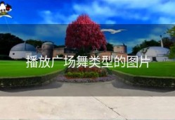 播放广场舞类型的图片