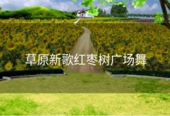 草原新歌红枣树广场舞