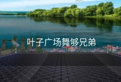 叶子广场舞够兄弟