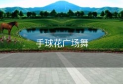 手球花广场舞