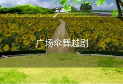 广场伞舞越剧