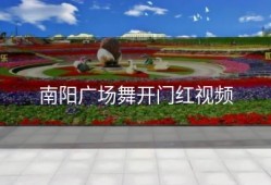 南阳广场舞开门红视频