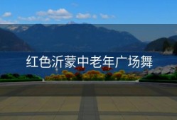 红色沂蒙中老年广场舞