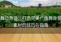 舞动奇迹：打造完美广场舞背景素材的技巧与指南