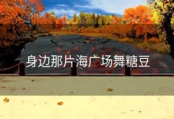 身边那片海广场舞糖豆