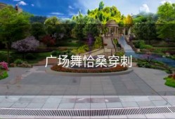 广场舞恰桑穿刺