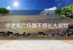 中老年广场舞不想长大视频