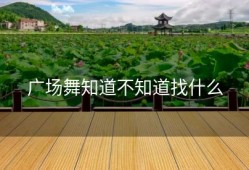 广场舞知道不知道找什么