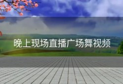 晚上现场直播广场舞视频