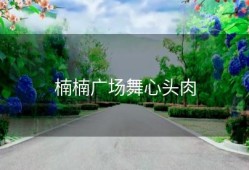 楠楠广场舞心头肉