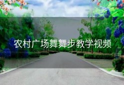 农村广场舞舞步教学视频