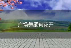 广场舞缅甸花开