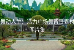 舞动人生：活力广场舞背景素材图片集