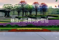 糖豆广场舞阿萨恰恰