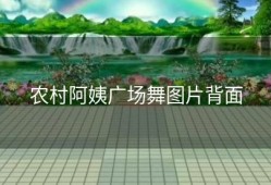 农村阿姨广场舞图片背面