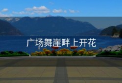 广场舞崖畔上开花