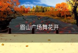 眉山广场舞花开