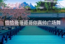 恰恰哥哥哥哥你真帅广场舞