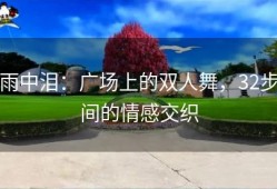 雨中泪：广场上的双人舞，32步间的情感交织