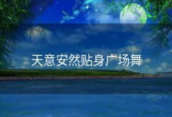 天意安然贴身广场舞