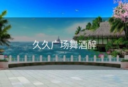 久久广场舞酒醉