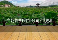 广场舞如何加歌词和视频