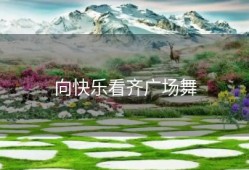 向快乐看齐广场舞