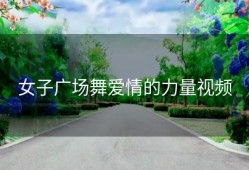 女子广场舞爱情的力量视频