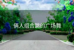俩人组合跳的广场舞
