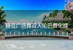 糖豆广场舞双人伦巴舞化蝶