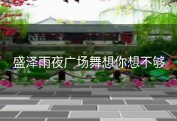 盛泽雨夜广场舞想你想不够