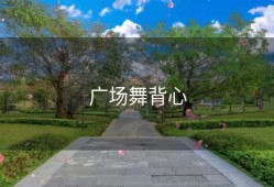 广场舞背心
