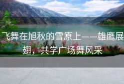 飞舞在旭秋的雪原上——雄鹰展翅，共学广场舞风采