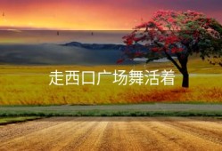 走西口广场舞活着