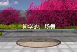 初学的广场舞