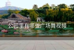 公园里有哪些广场舞视频