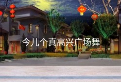 今儿个真高兴广场舞
