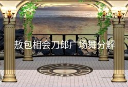 敖包相会刀郎广场舞分解