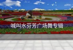 喊叫水芬芳广场舞专辑