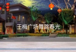 王梅广场舞跳春光