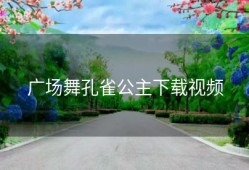 广场舞孔雀公主下载视频