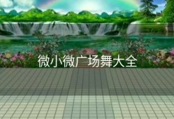 微小微广场舞大全