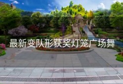 最新变队形获奖灯笼广场舞