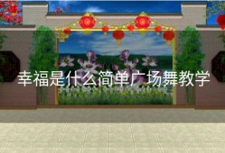幸福是什么简单广场舞教学