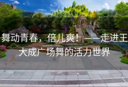 舞动青春，倍儿爽！——走进王大成广场舞的活力世界