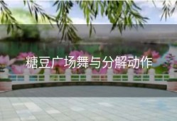 糖豆广场舞与分解动作